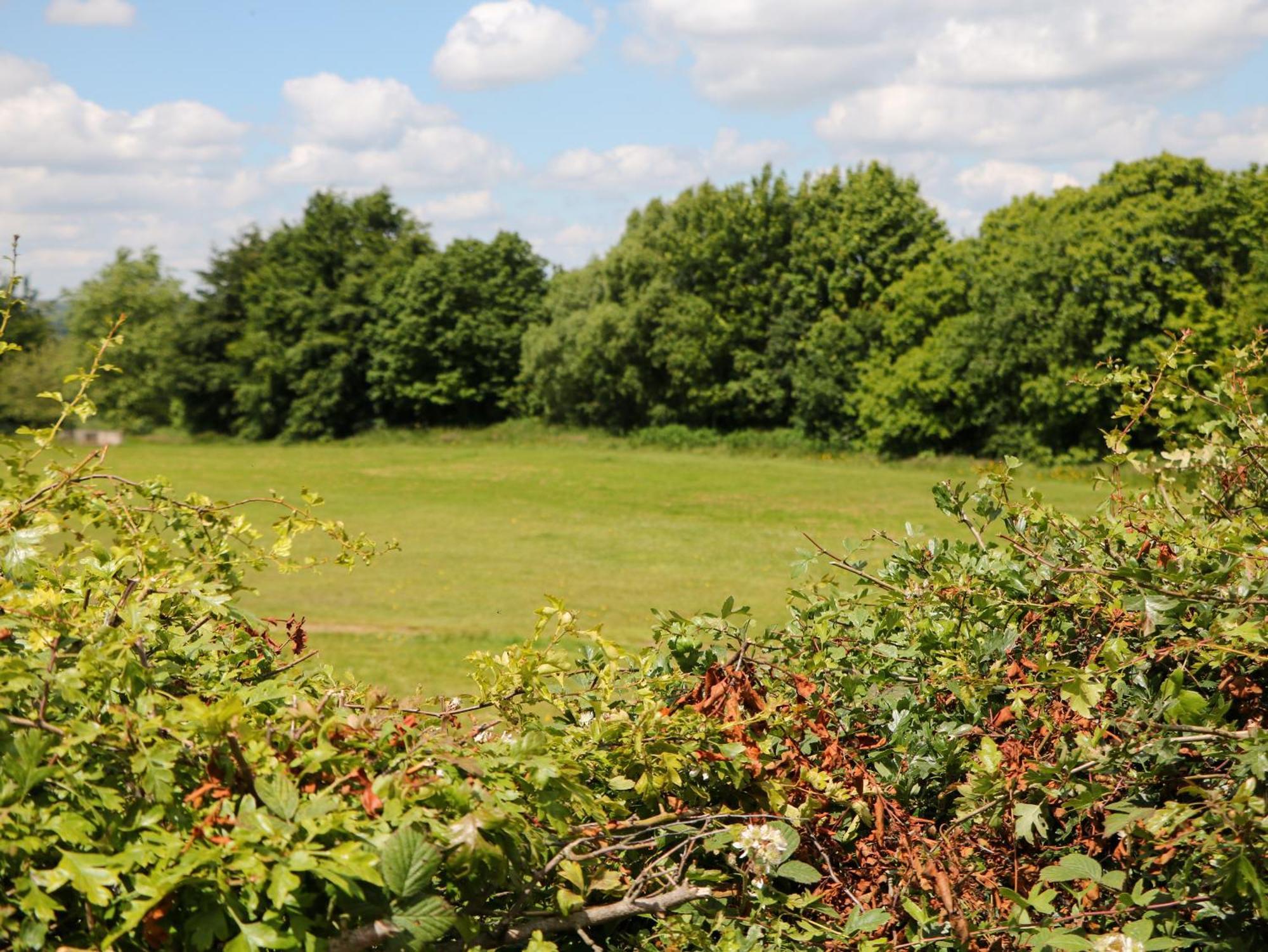 Basford View *