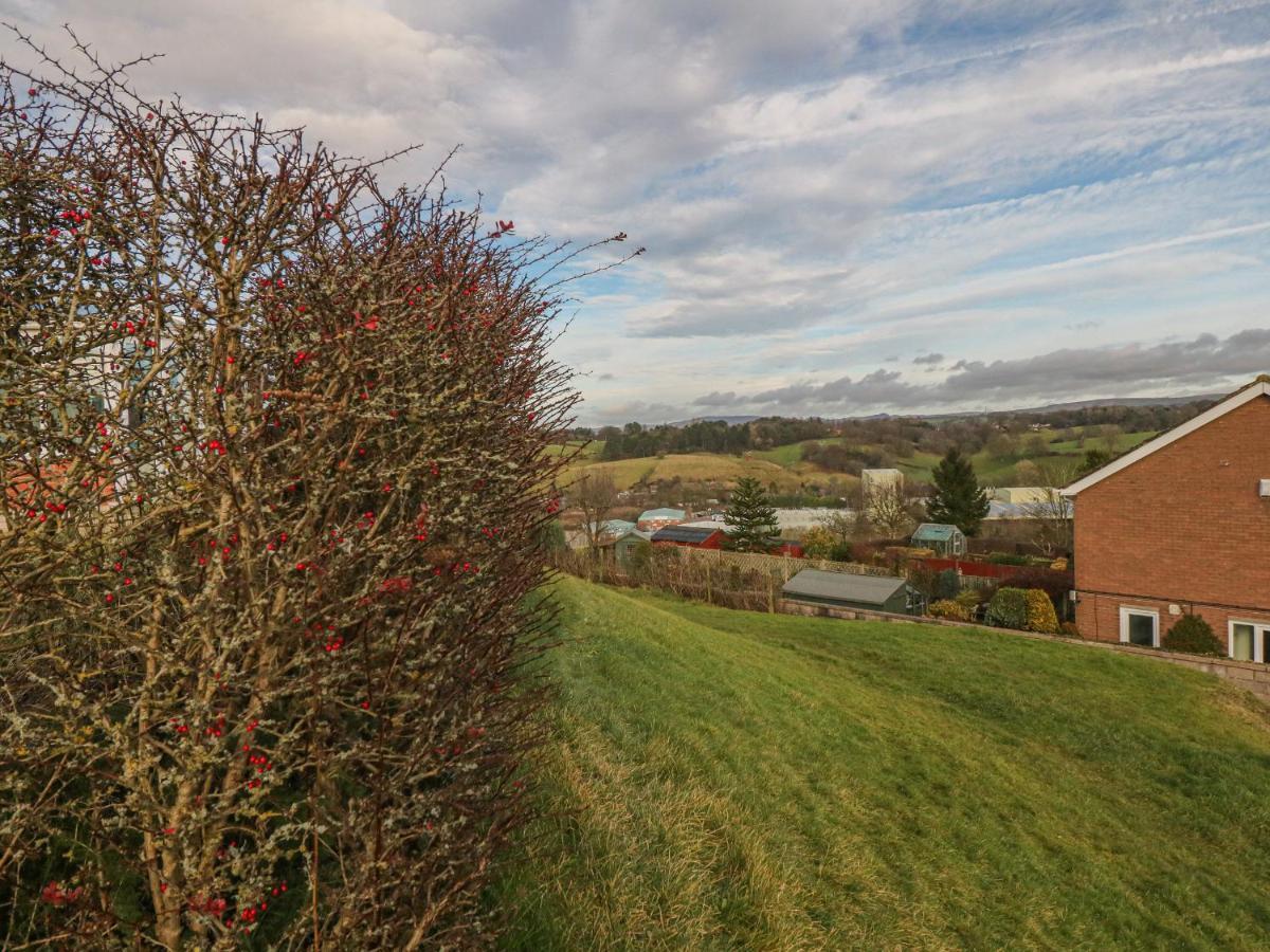 Basford View